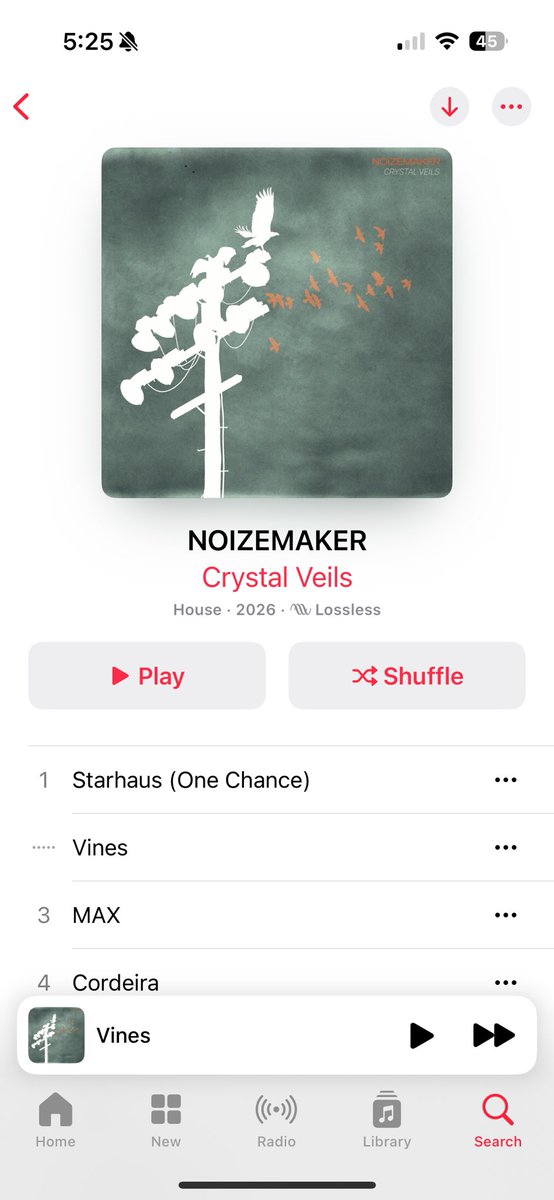crystalveils's tweet photo. New music “Noizemaker” by Crystal Veils all streaming plats https://t.co/c59KczEjeV