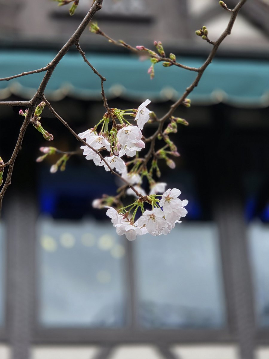 喫茶ソワレ【公式】 tweet media