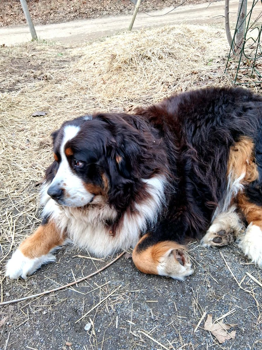 Mark Doherty tweet media