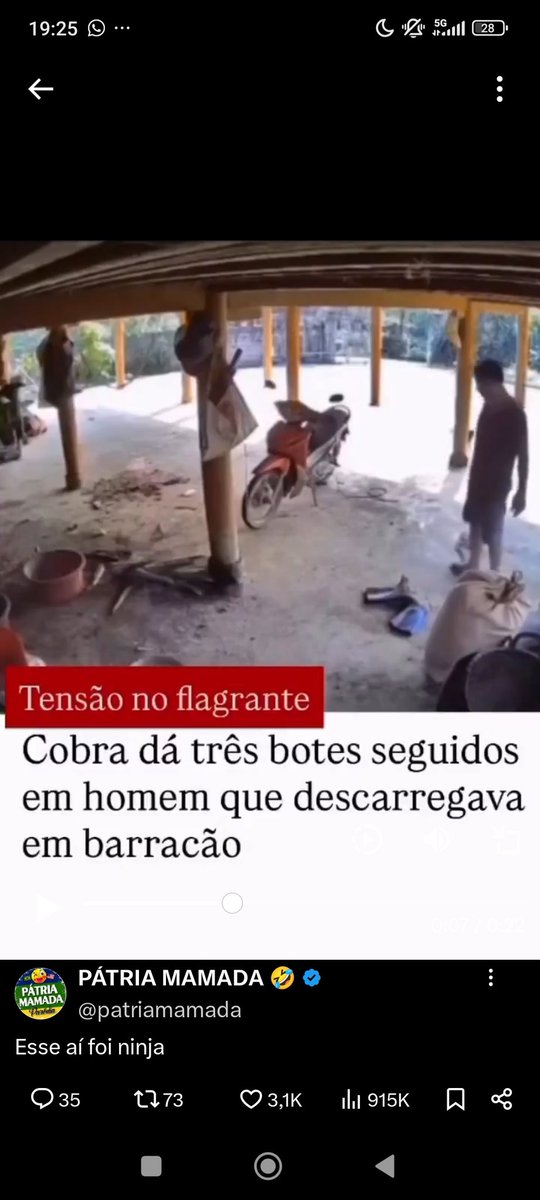 Laker BoY tweet media