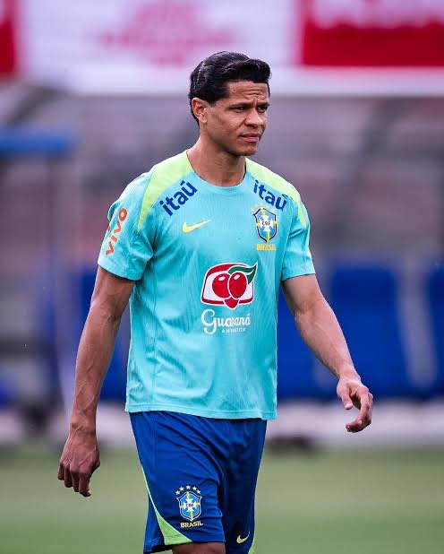 TV Alambrado Alvinegro tweet media