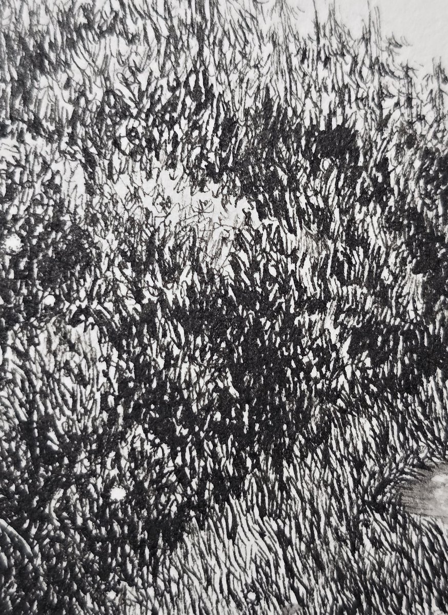 YO-CO(個展『HOME』2026年5/6～5/12 @大丸梅田店7F) tweet media