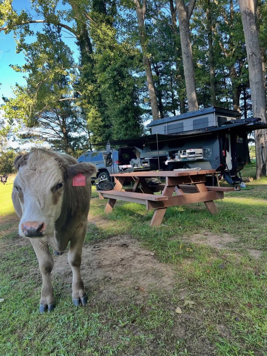 Our Patriot Owners have been Getting Lost!

Checkout the places they've towed their trailers, all around the world