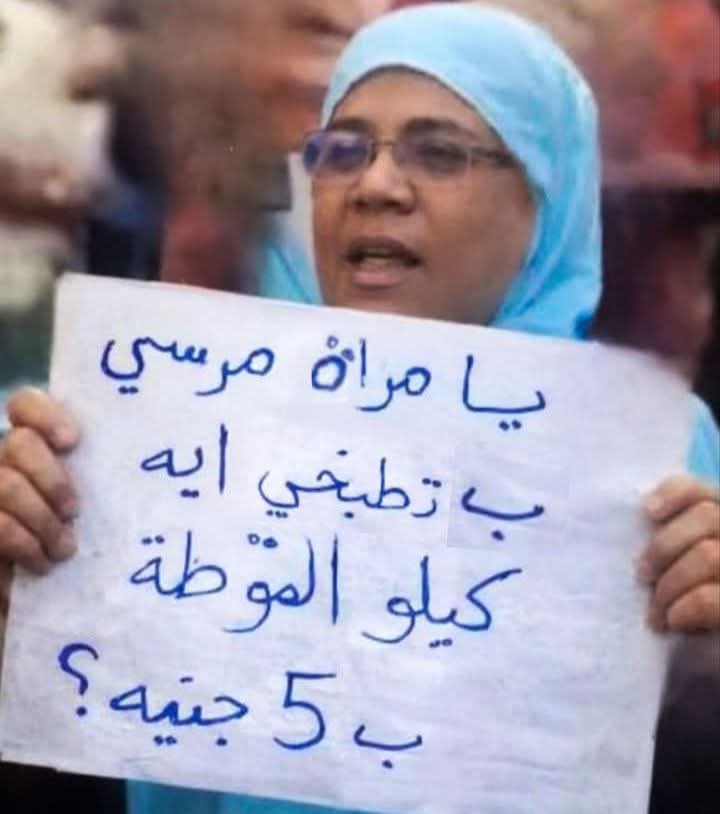 Aml Elshnwey tweet media