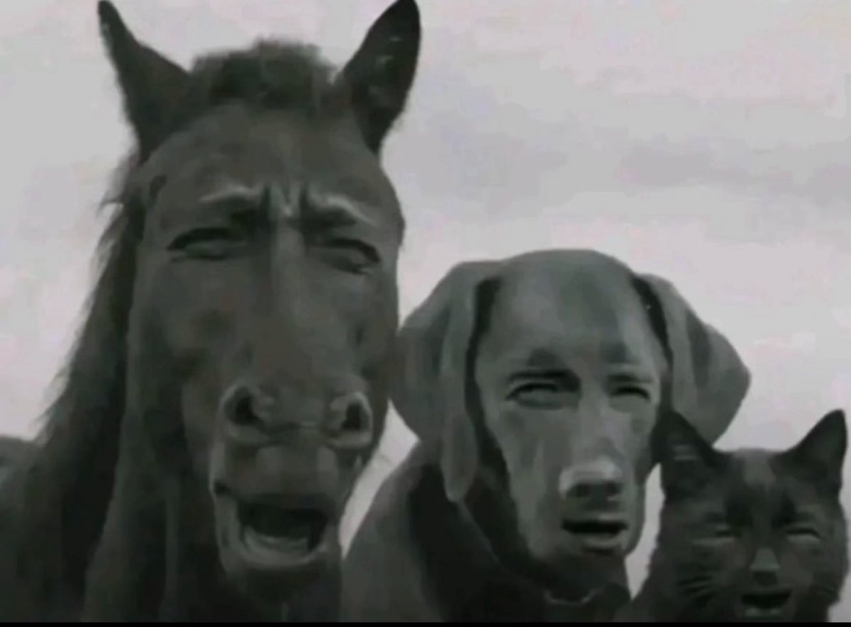 شَخْصٌ مَا tweet media