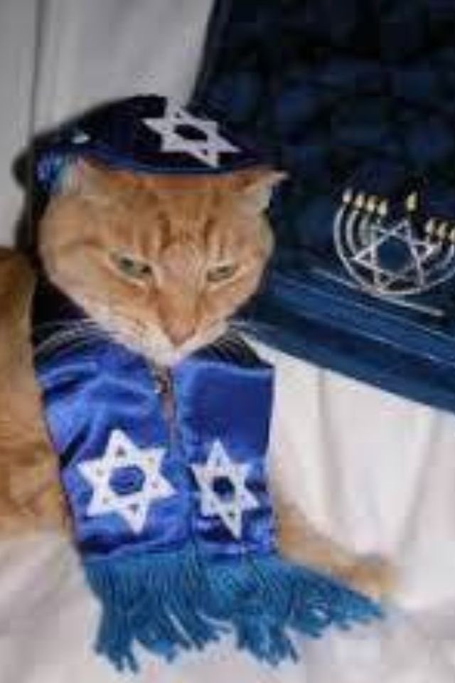 DaleOats🏀 tweet media