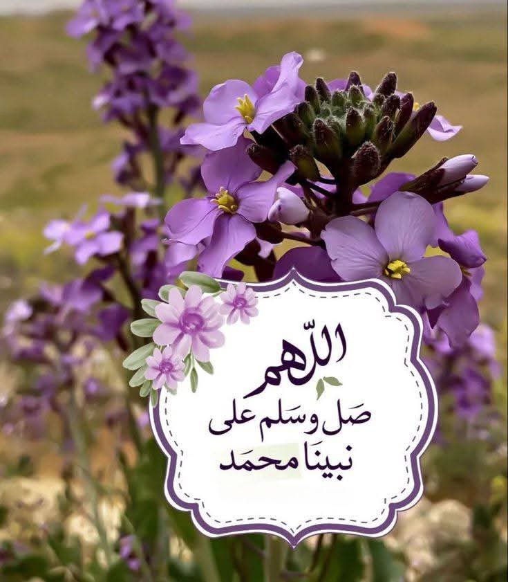 اَلَْشَّاَمِخْ🇸🇦 tweet media