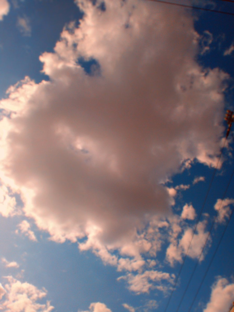 💙空色言葉🍀ゆう tweet media