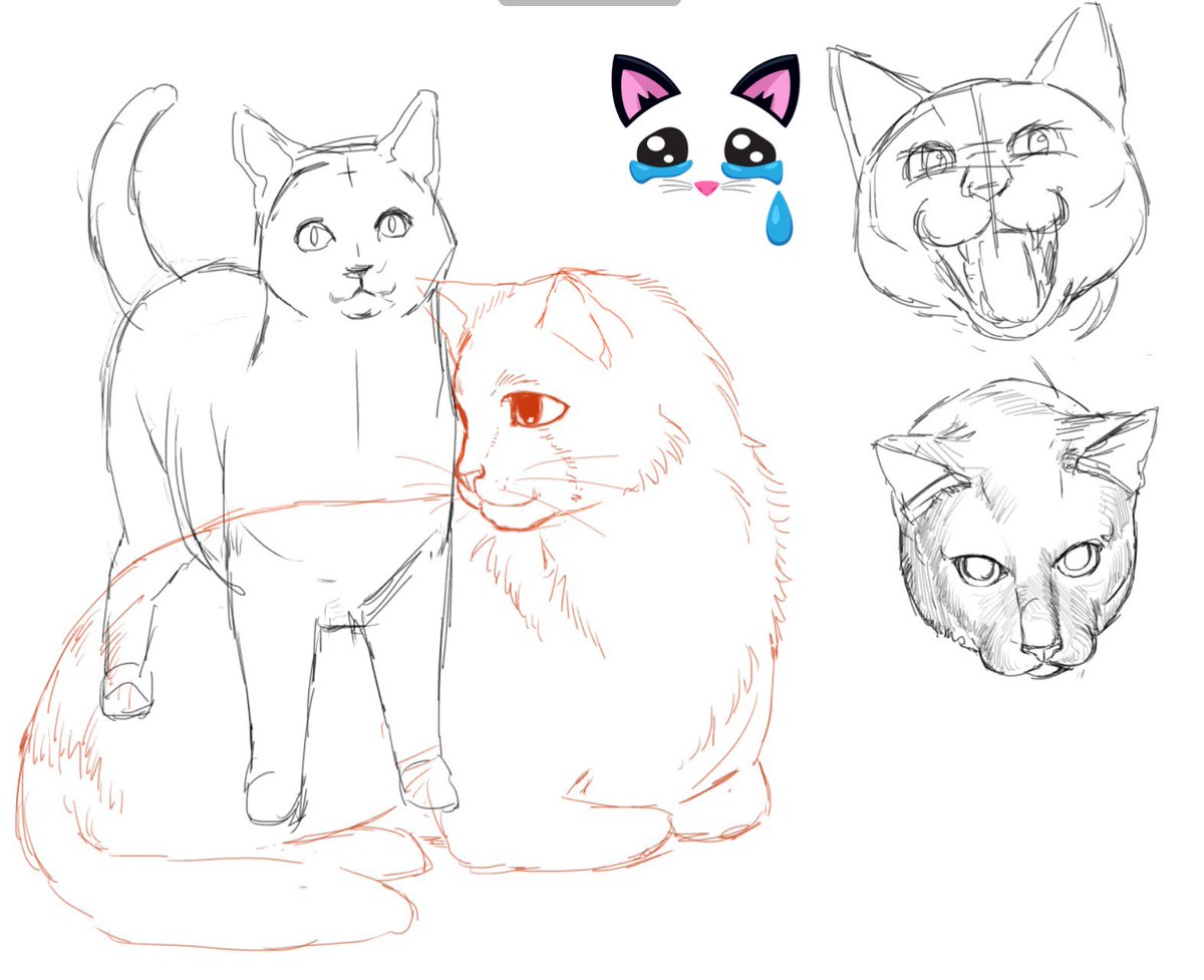 Mackerel tweet media