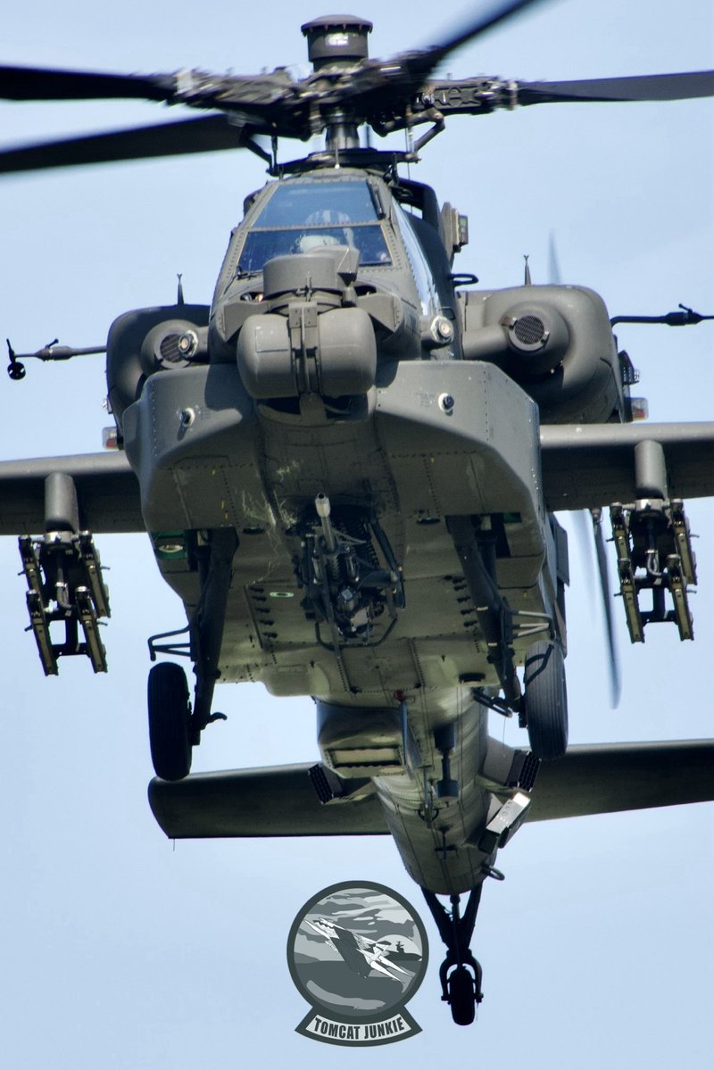 TomcatJunkie🏴☠️ tweet media