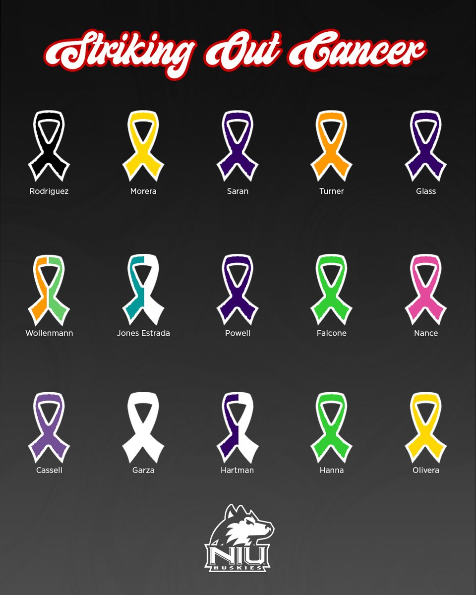 NIUSoftball's tweet photo. Every color. Every story. Every fighter. We stand with you

#GoHuskies https://t.co/3jr5eogauG