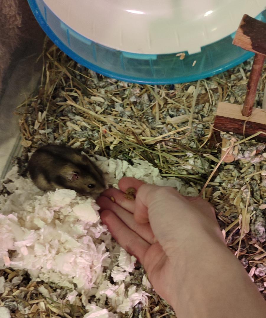 Alba K. 🖤🦋☀️ tweet media