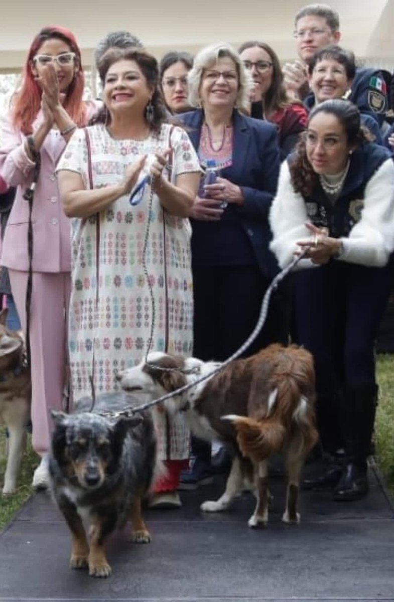 Y quién pagará por estas muertes? 

Me imagino van a medir a esos funcionarios públicos con la rudeza con la que han medido y tratado al franciscano no??

Ah no, ya vi