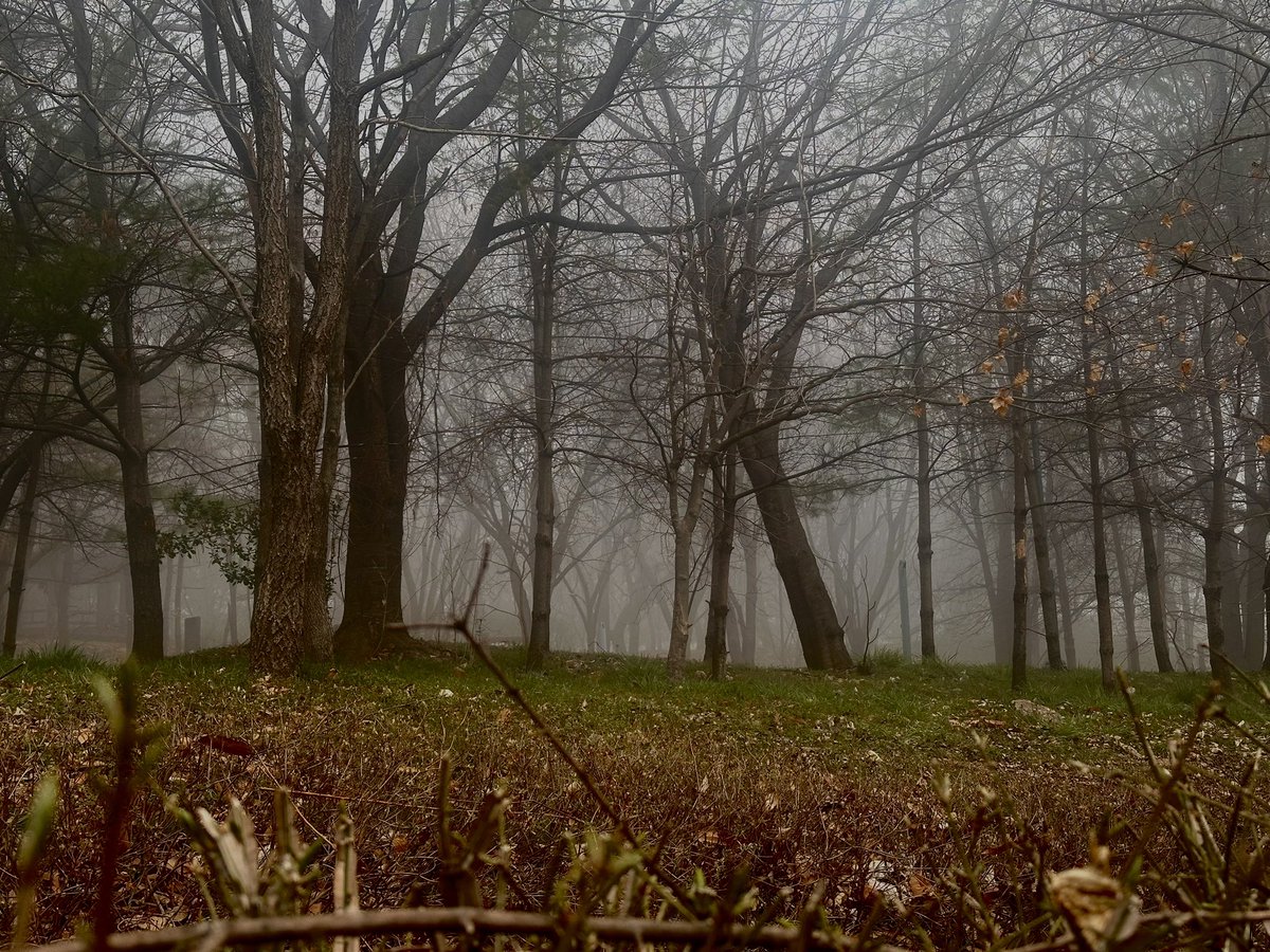 💗히읗지읒💗 tweet media