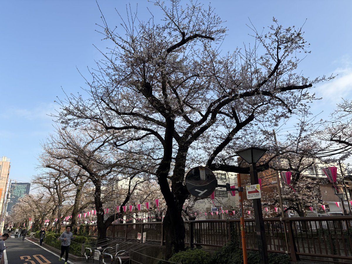 きんぢ tweet media