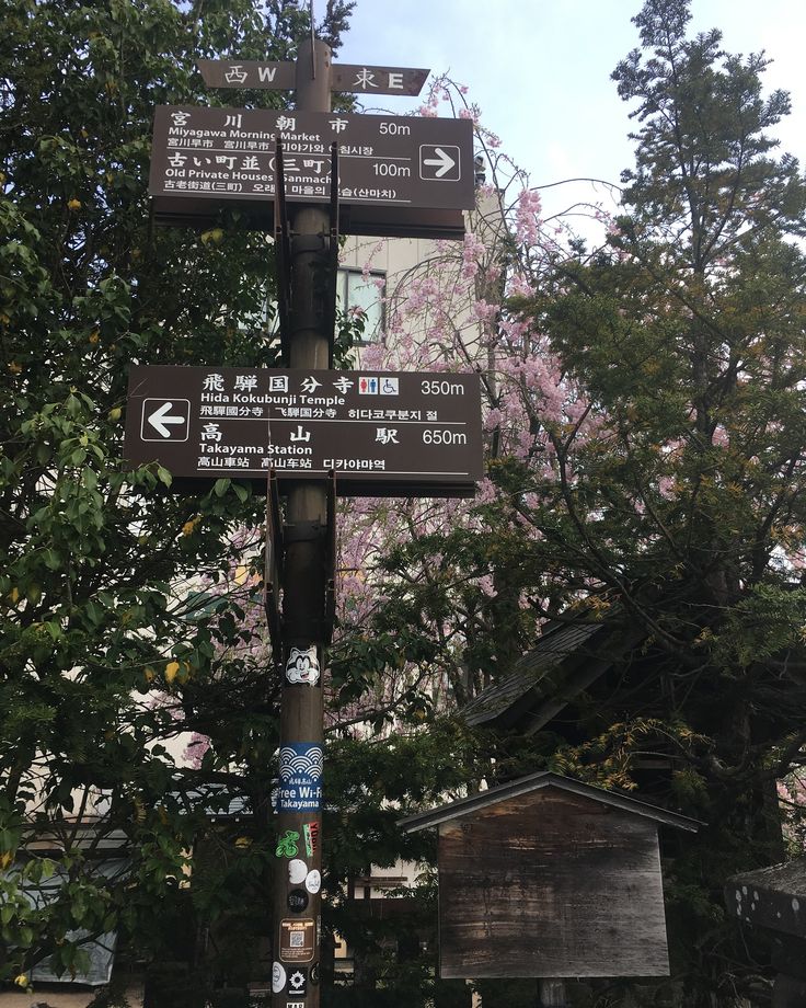 Dizzy Kitty Dragon tweet media