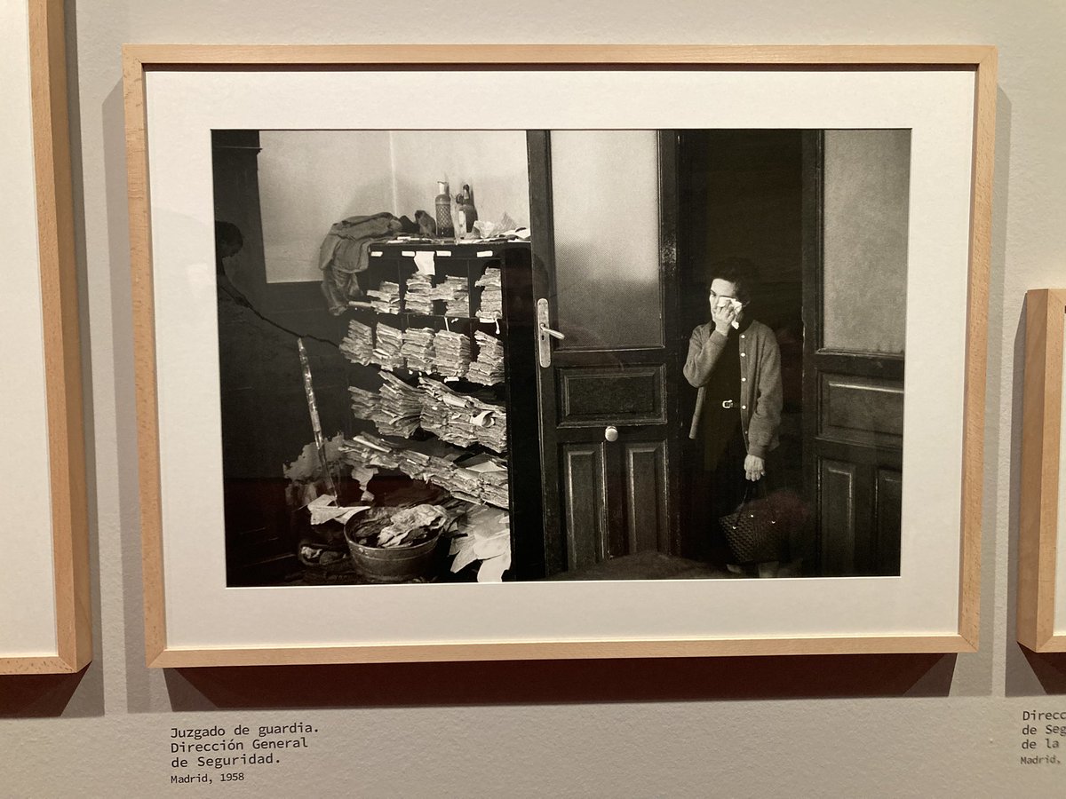 Alfonso Paredes tweet media