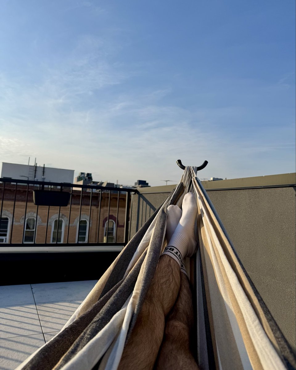 steves_beebs tweet media