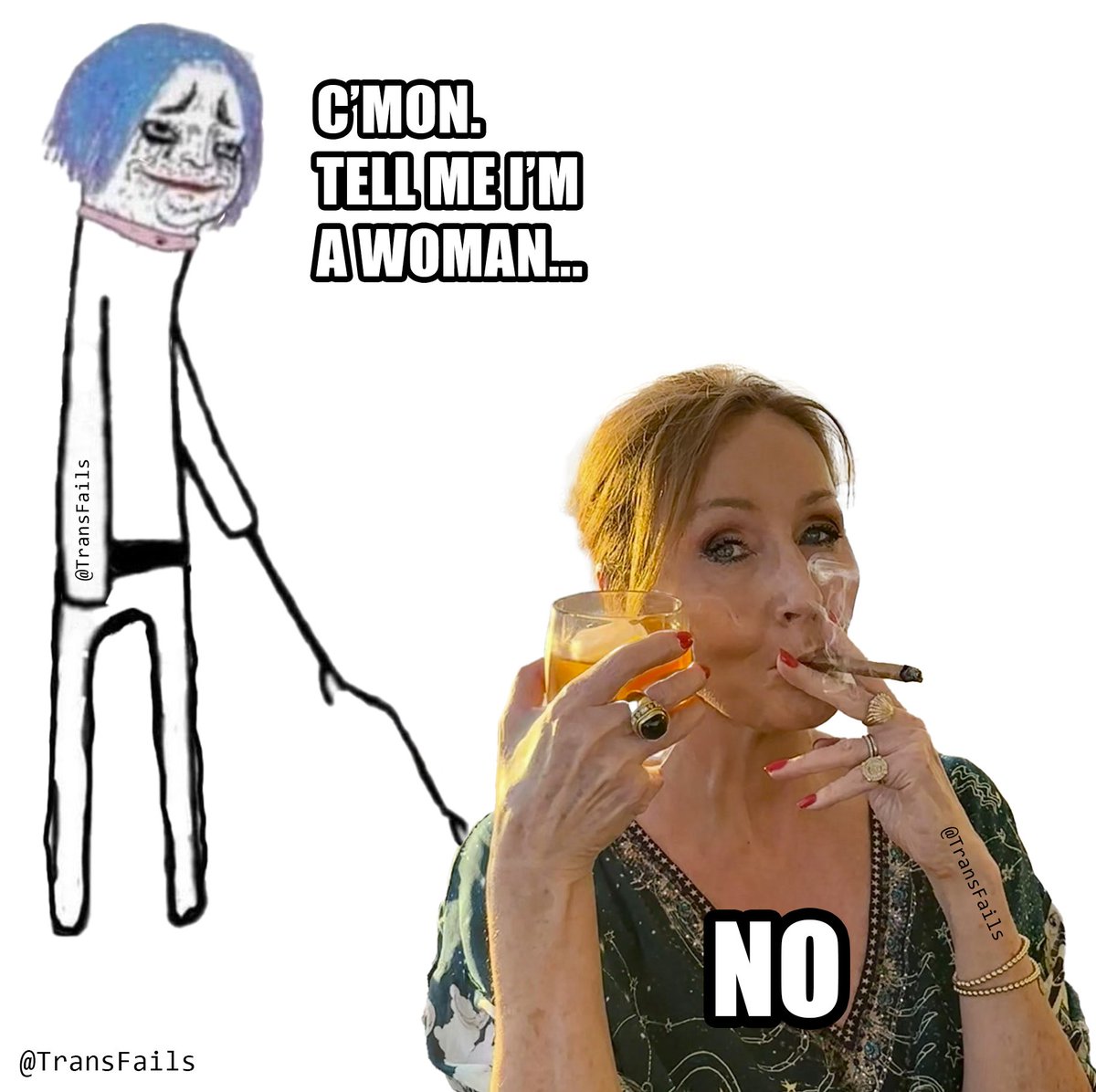 Trans Memes tweet media