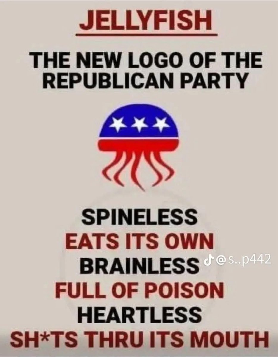 Paul Dupuis ☮️🇺🇦🟦🇺🇸 tweet media