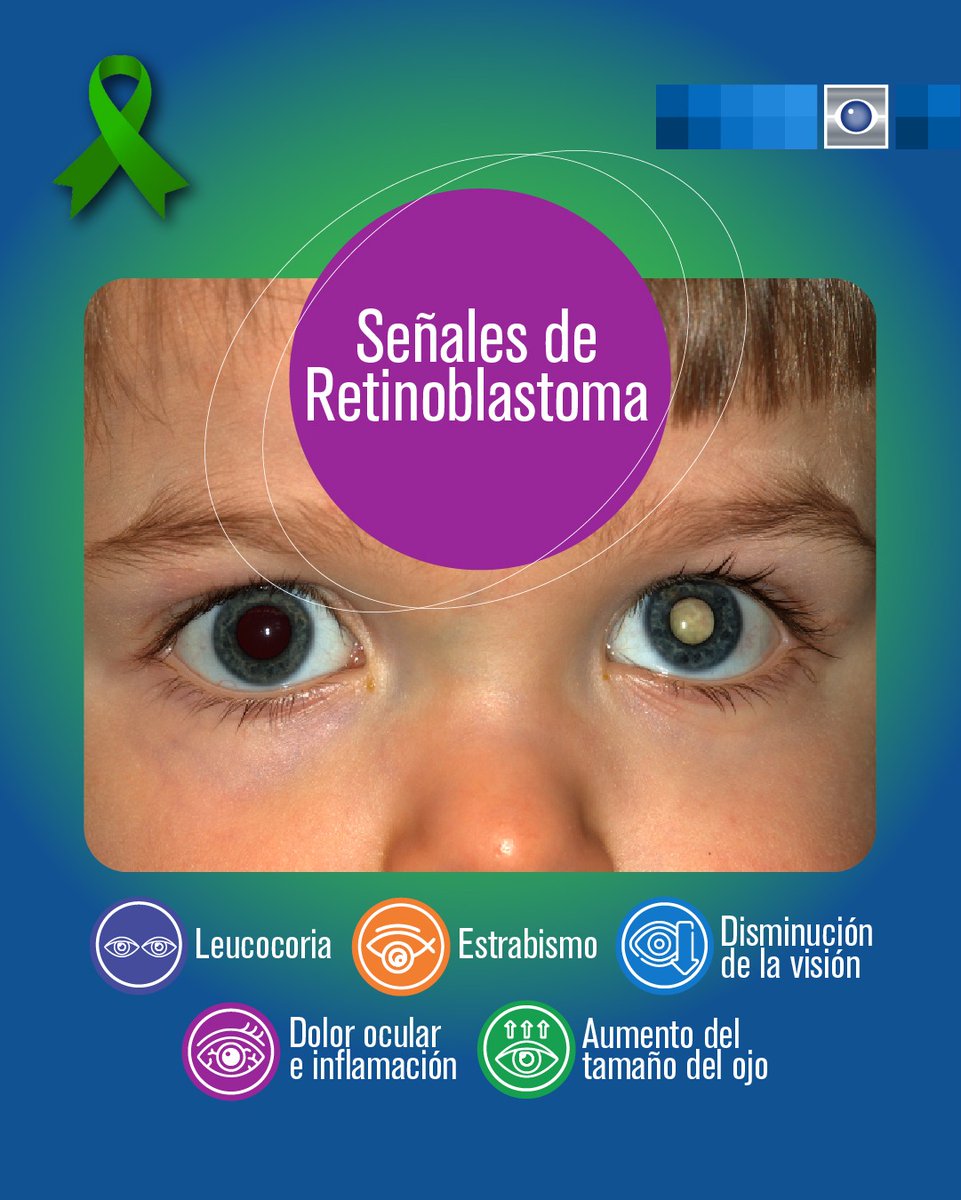 González Sirit tweet media