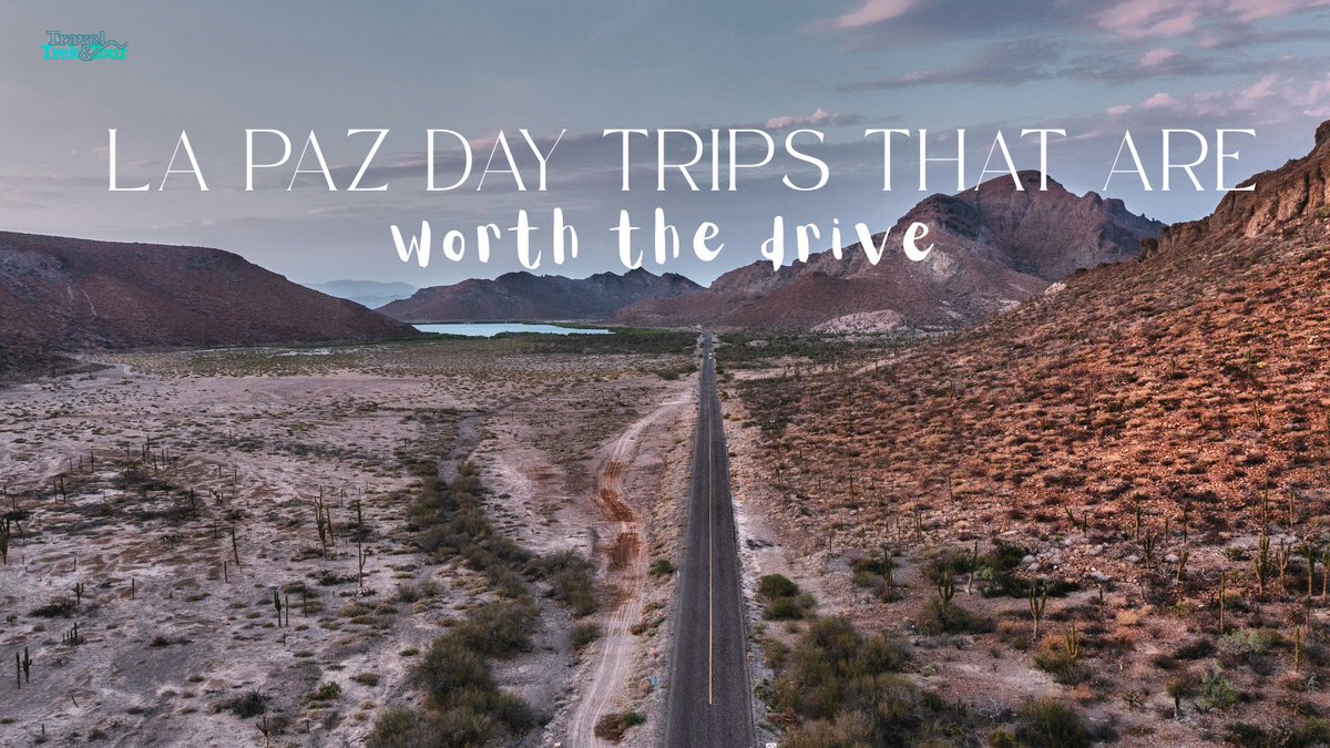Travel Trek & Tour tweet media