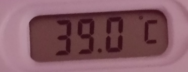 Sachii🍆⭐ tweet media