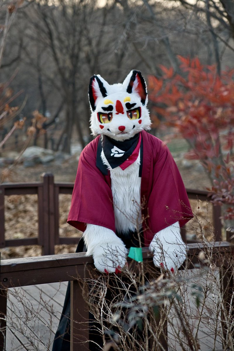 흰둥이 / しろ 🔜 Furst Class tweet media