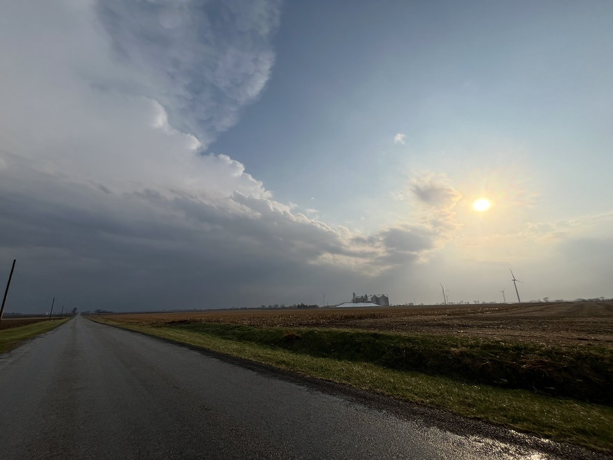 IcyIsTired tweet media