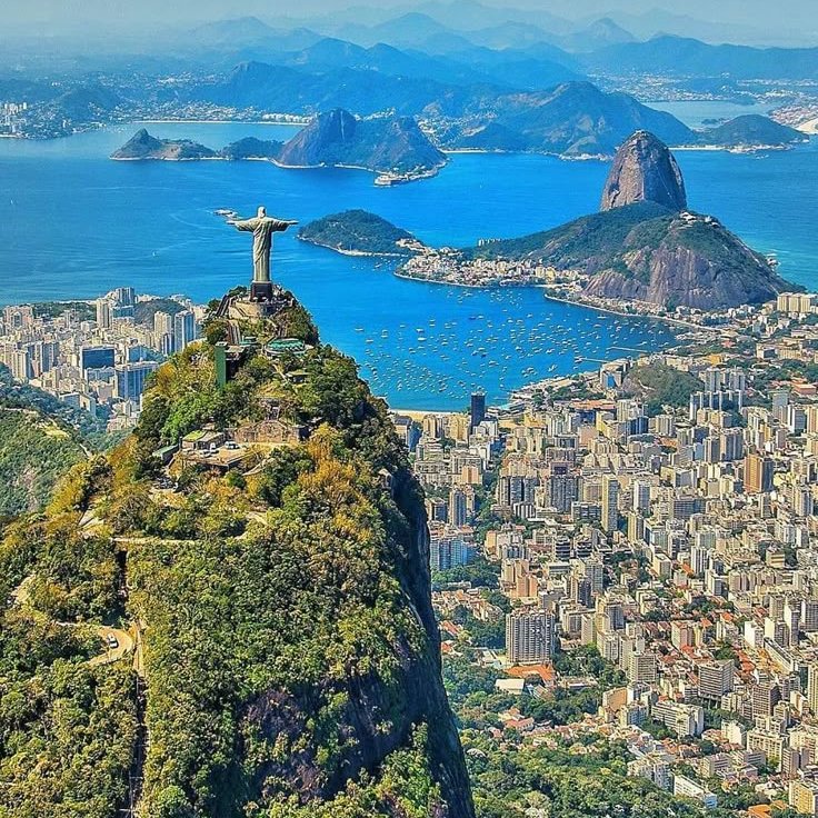 Liberalismo Lifestyle tweet media