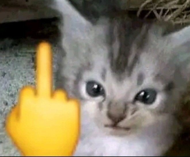 elPRIrobomas tweet media