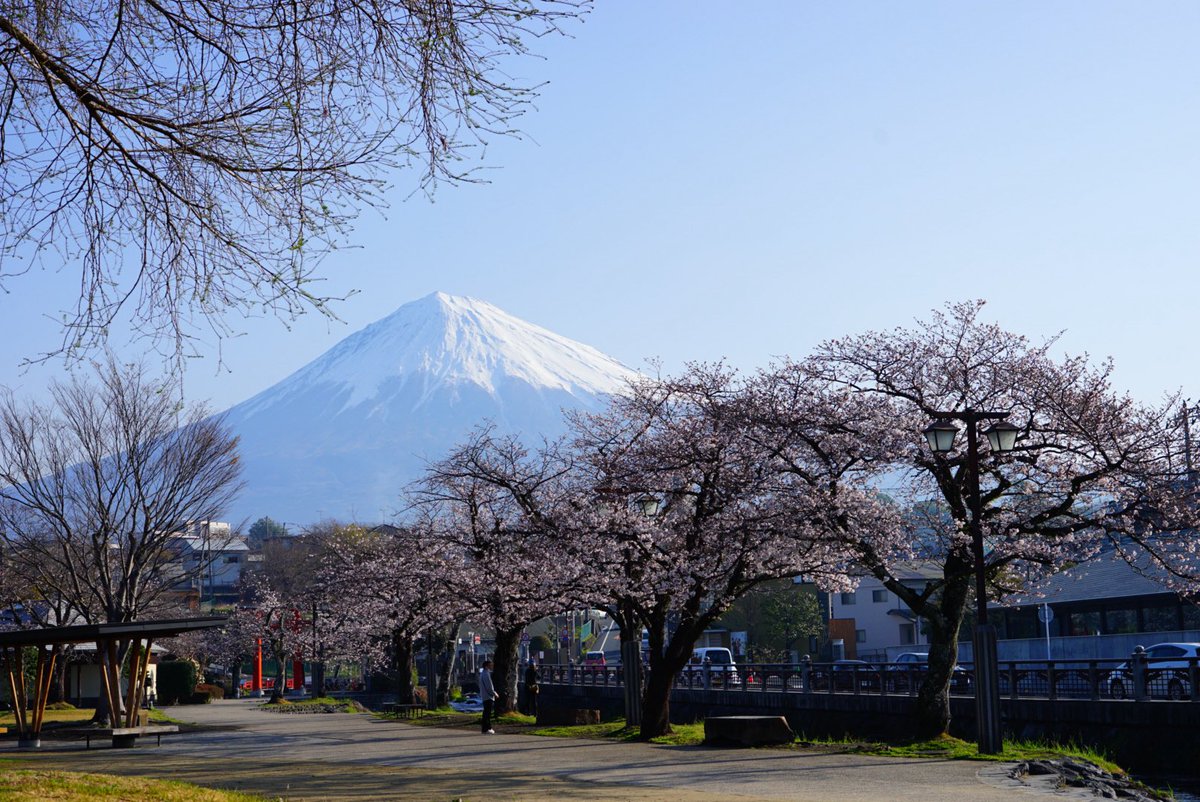 しおだれ@富士山麓 tweet media