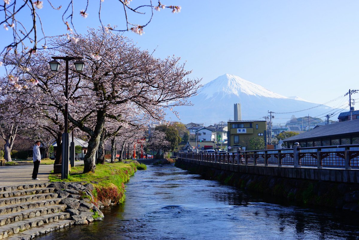 しおだれ@富士山麓 tweet media