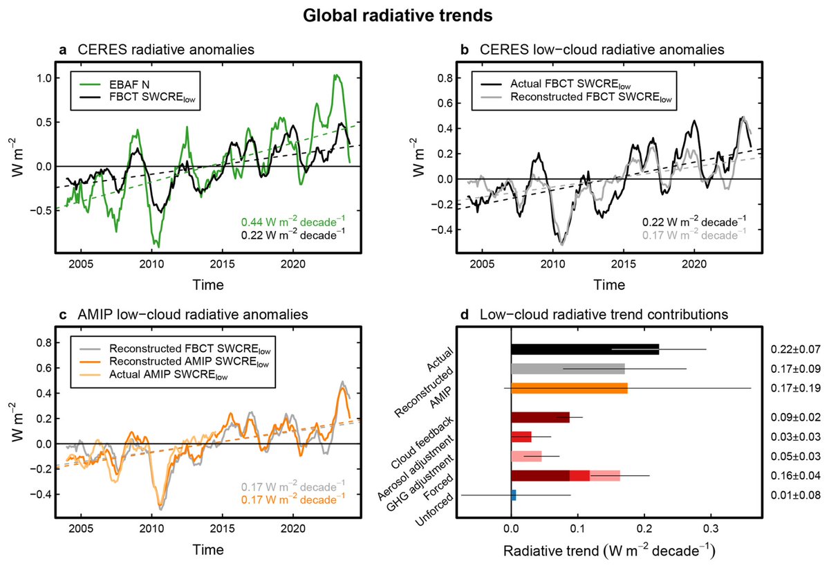 Indonesisches Bergwiesel tweet media