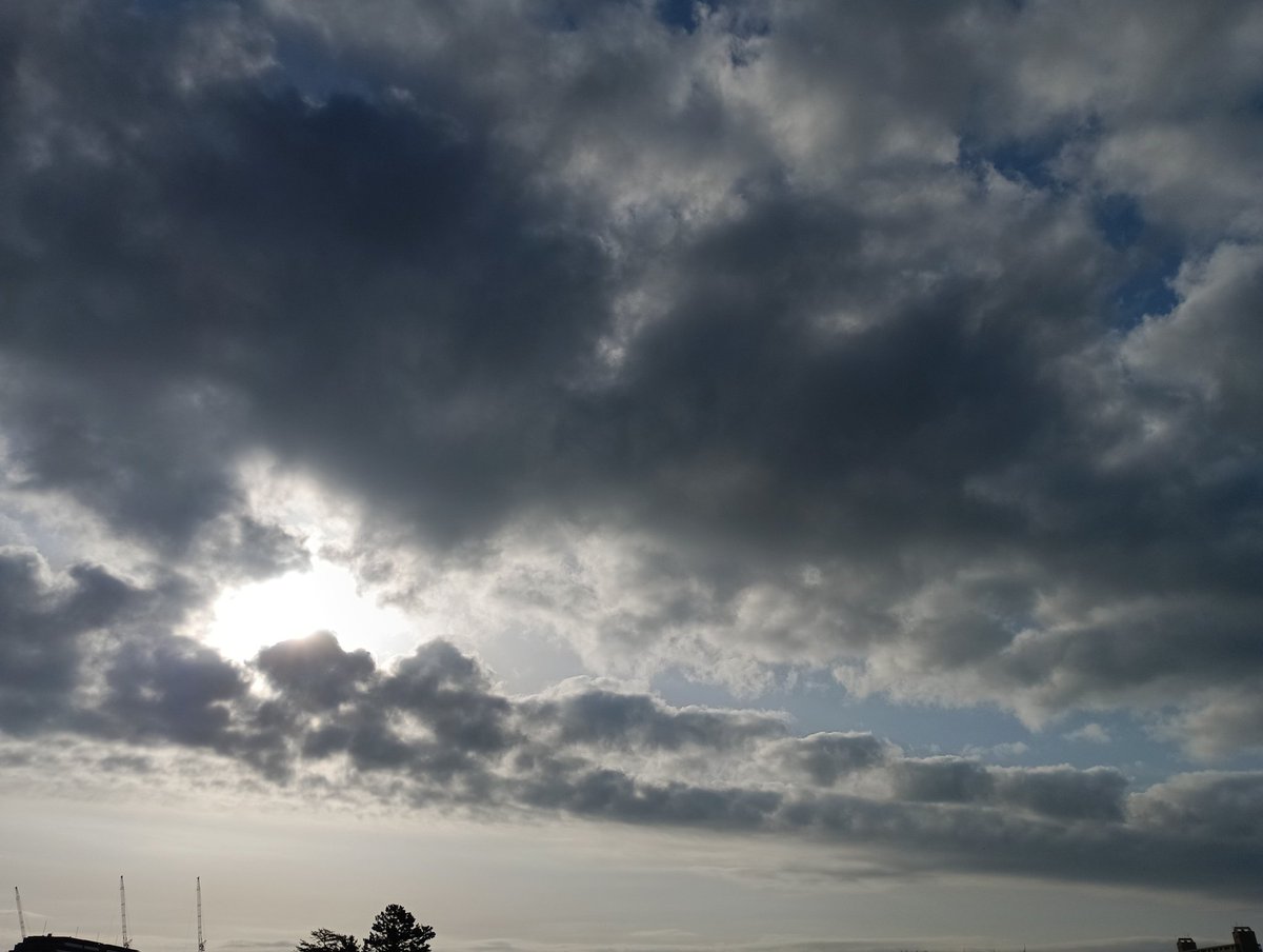 🌈スーパーモンキー1号🍓 tweet media