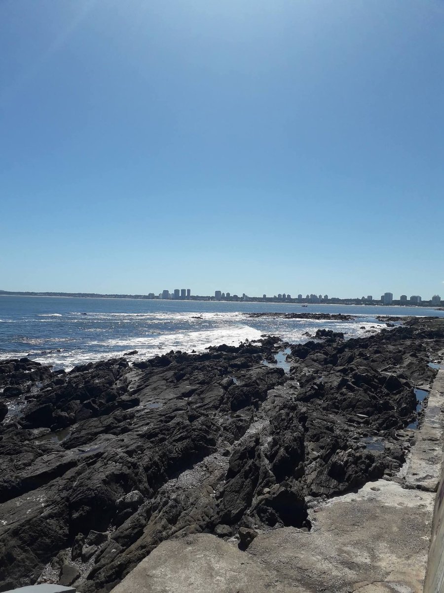 Rayito Suarez tweet media