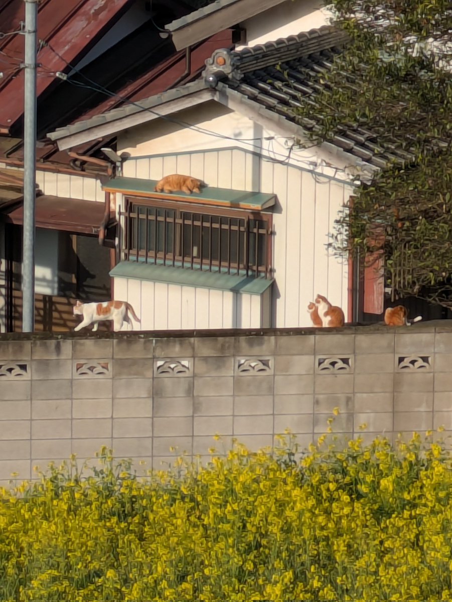 イサド tweet media