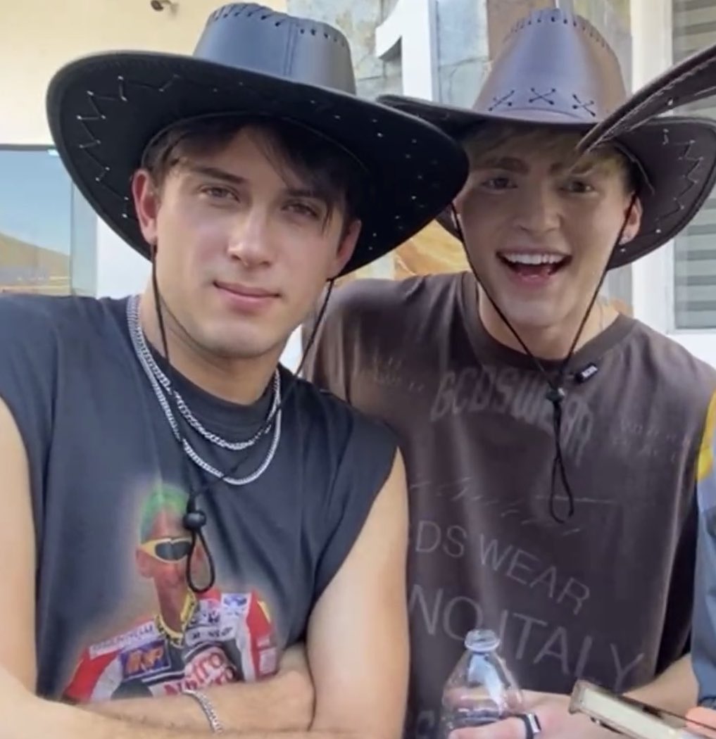 alebi daily tweet media