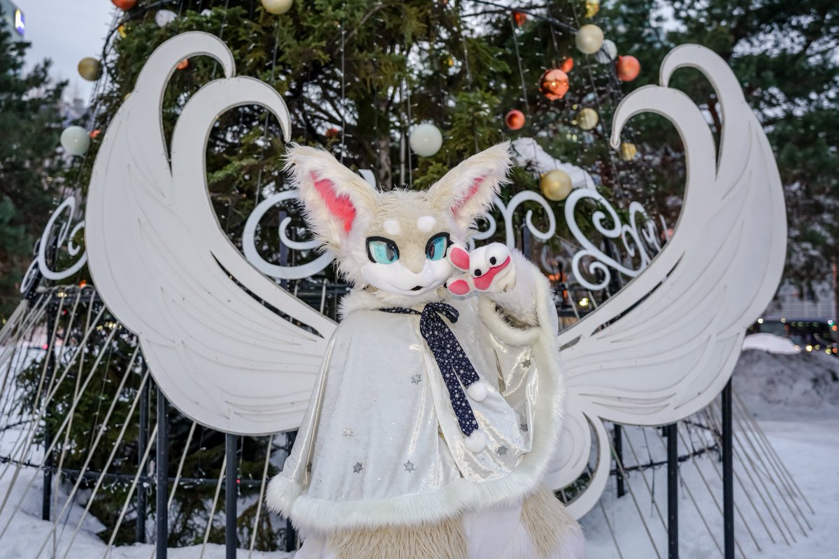 シード tweet media