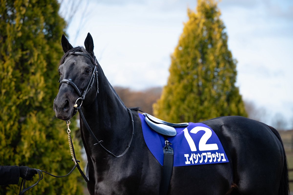 Yogiboヴェルサイユリゾートファーム tweet media