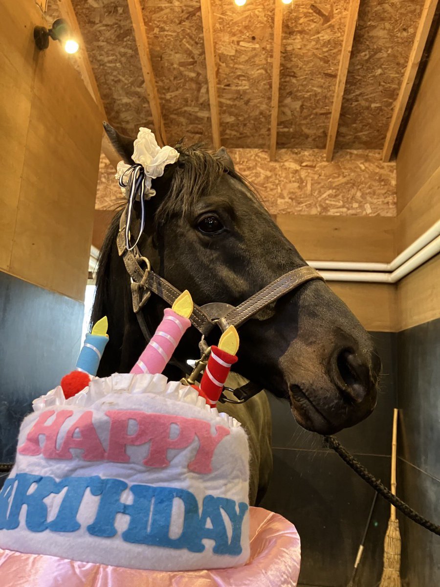 Yogiboヴェルサイユリゾートファーム tweet media