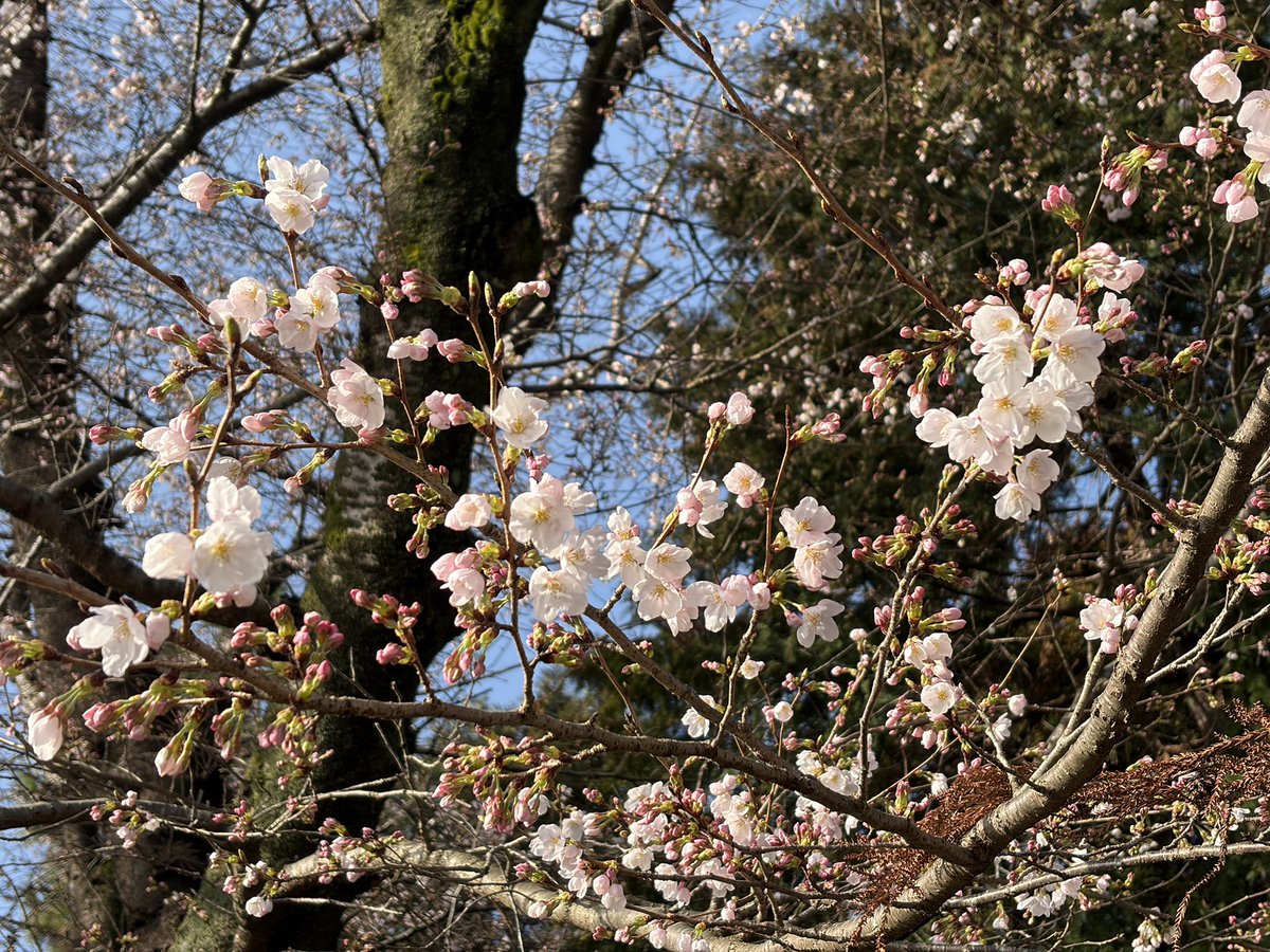 HMS_ひろ tweet media