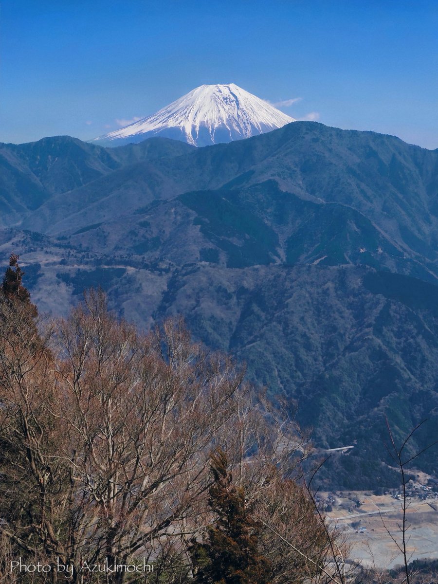 小豆餅乃Another Room tweet media