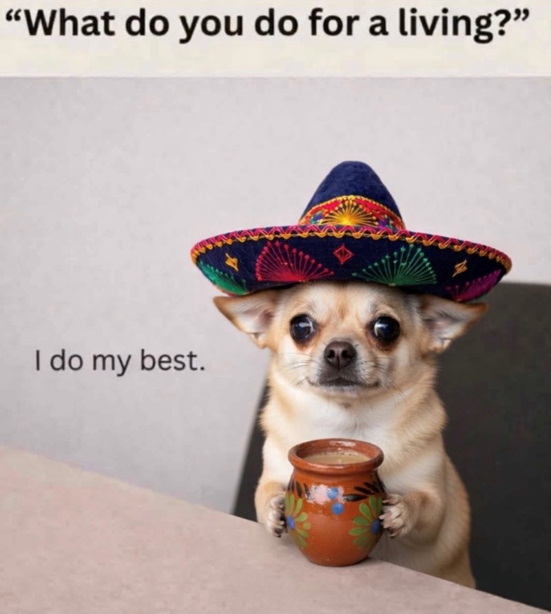 ✨Ms_Ashhole ✨ tweet media