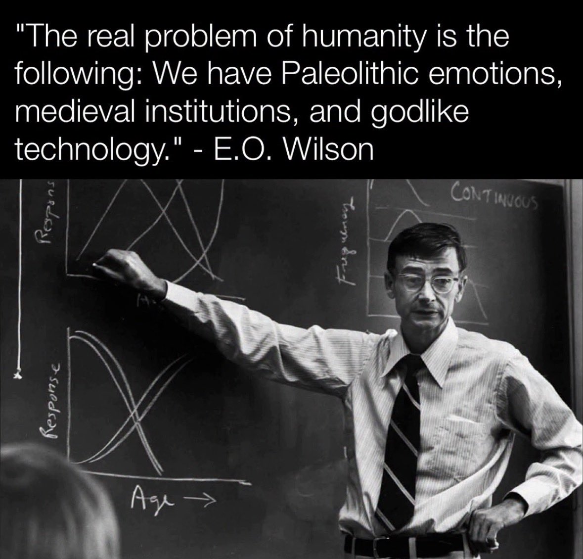 Rothmus 🏴 tweet media