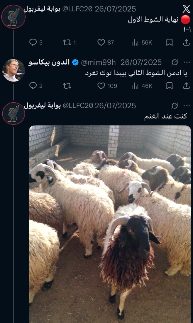 Ricky 🇲🇵 tweet media