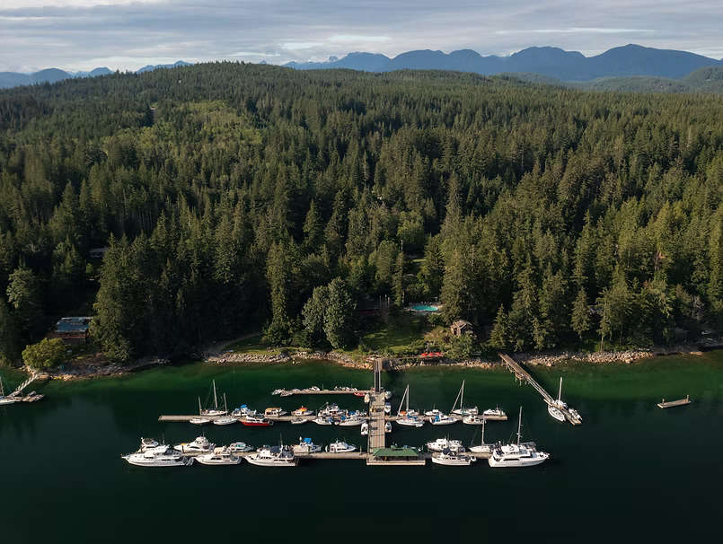 theravenfm's tweet photo. Funding Supports Restaurant Redevelopment On Cortes Island https://t.co/d1yiJluFmV https://t.co/ER0NMow6dG