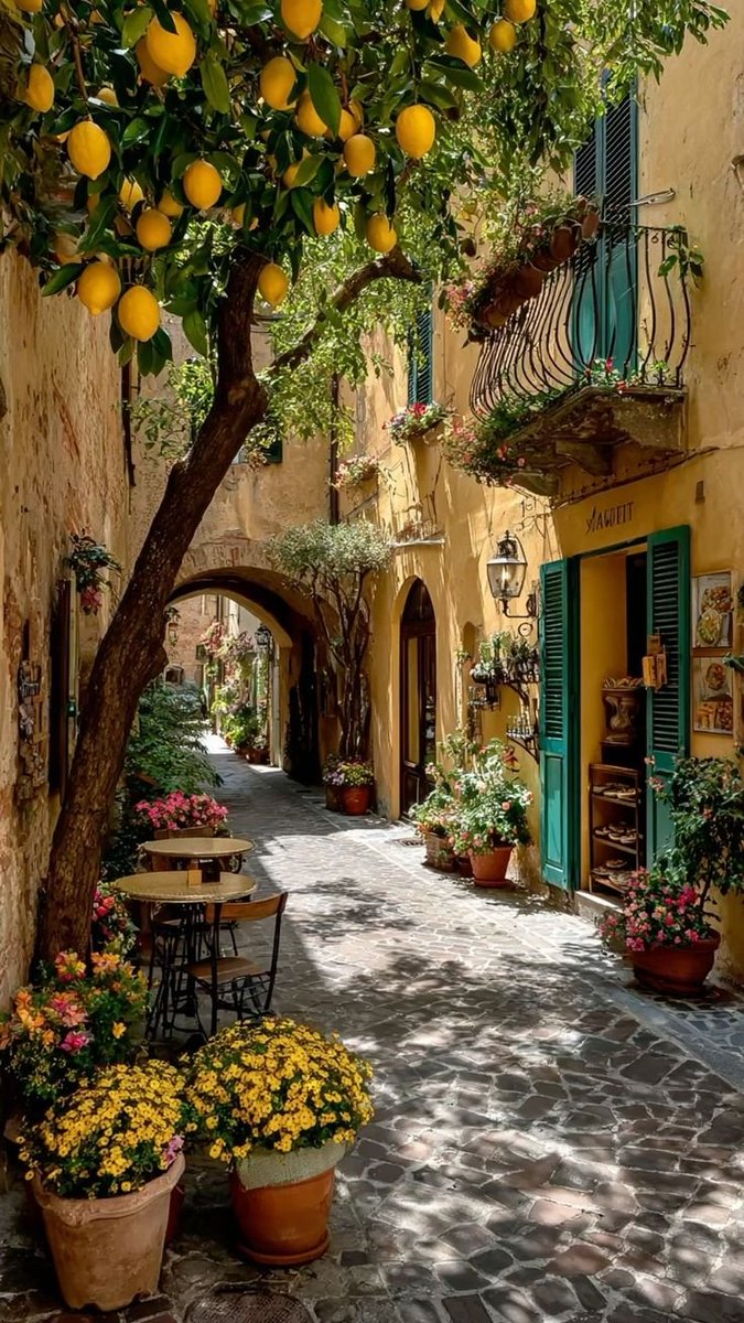 e' (@sanirimdeliii) on Twitter photo 