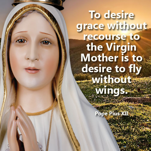 America Needs Fatima tweet media