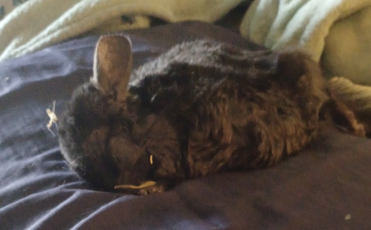 Michelle, Pierrot's wife tweet media